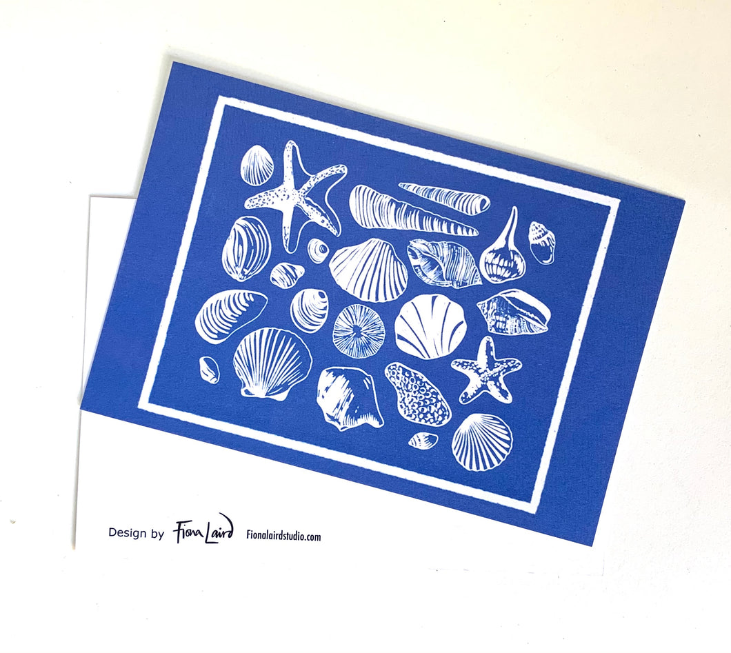 SHELLS - pack of five postcards