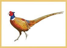 Load image into Gallery viewer, JAUNTY PHEASANT - pack of five postcards
