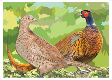 Load image into Gallery viewer, PHEASANTS PAIR - folded card
