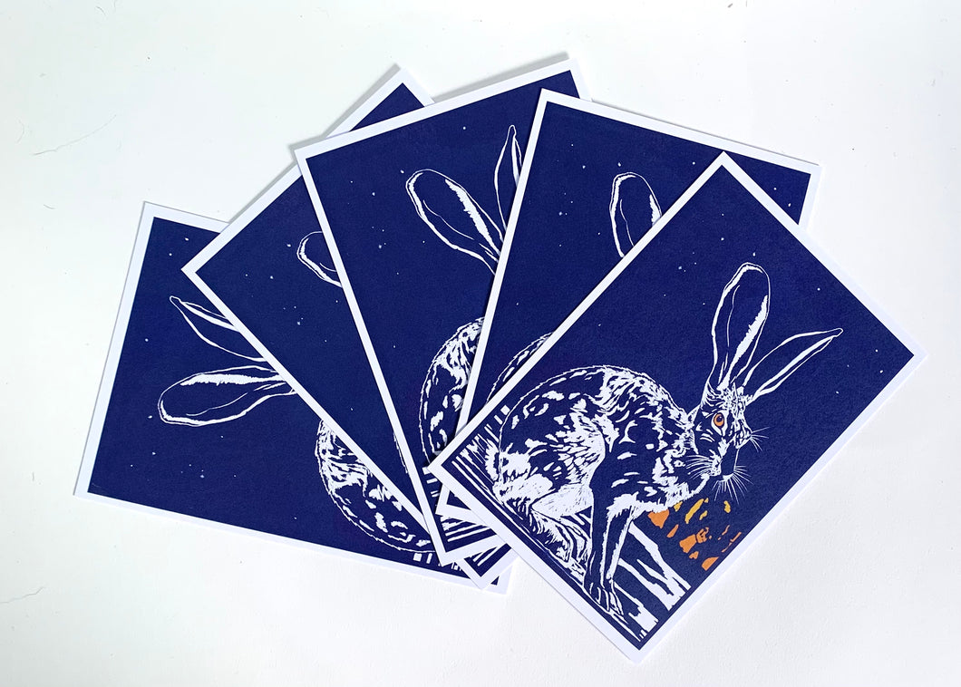 'SUNSET HARE' - pack of five postcards