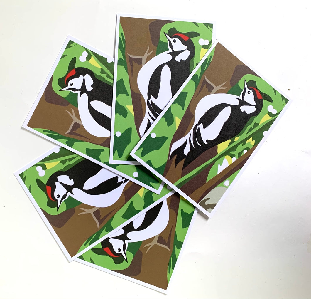 Woodpecker - pack of Five Postcards