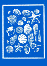 Load image into Gallery viewer, PACK OF SIX SEALIFE CARDS
