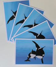 Load image into Gallery viewer, ORCAS - pack of five postcards
